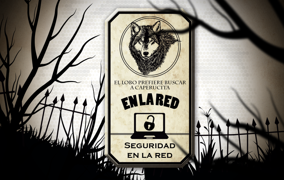 segudidad en la red